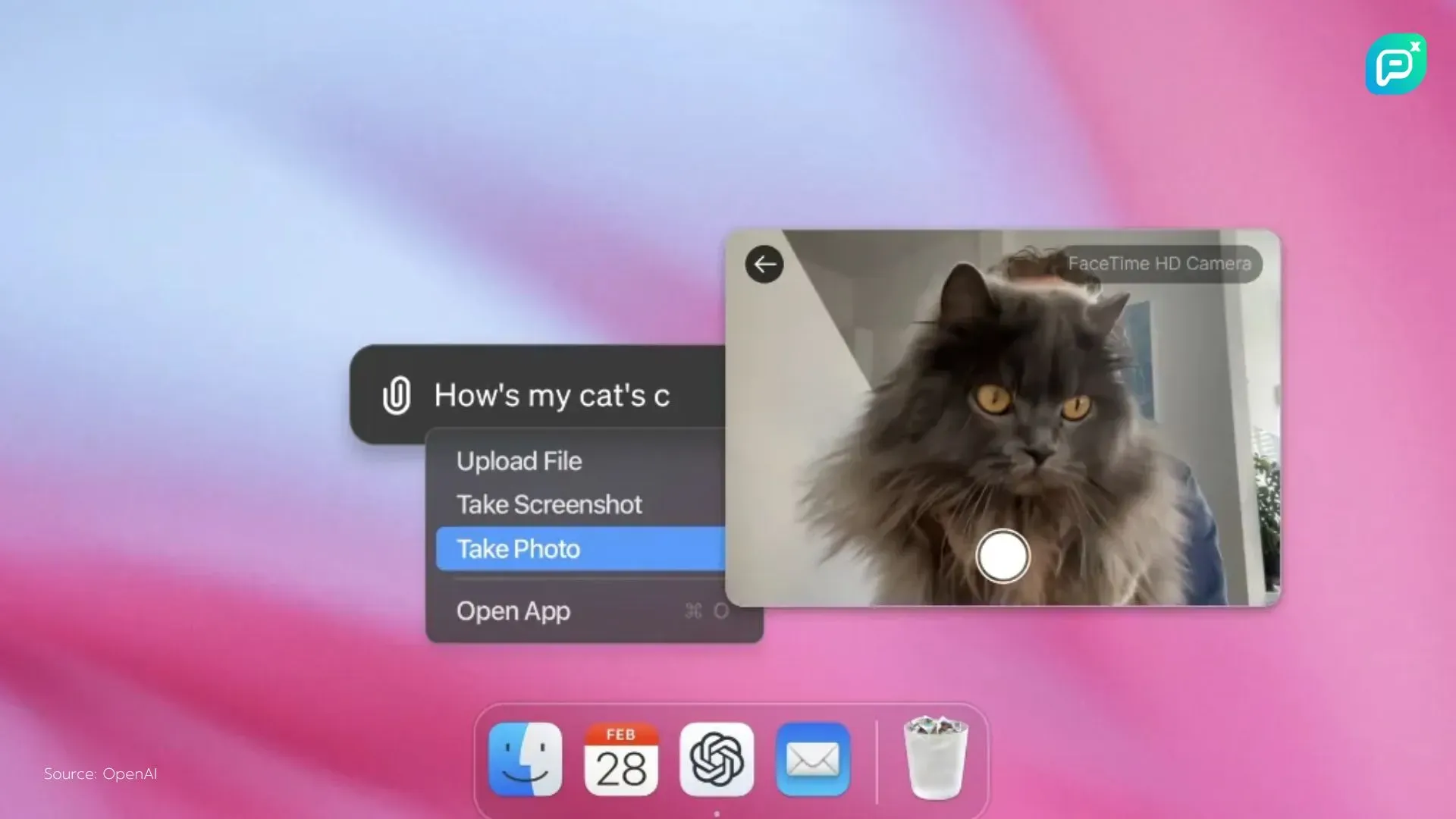 ผู้ใช้กำลังถ่ายรูปแมวผ่านกล้อง FaceTime บนแล็ปท็อป Mac โดยใช้ฟีเจอร์ใน ChatGPT บน macOS หน้าจอแสดงเมนูอัปโหลดไฟล์และถ่ายภาพ