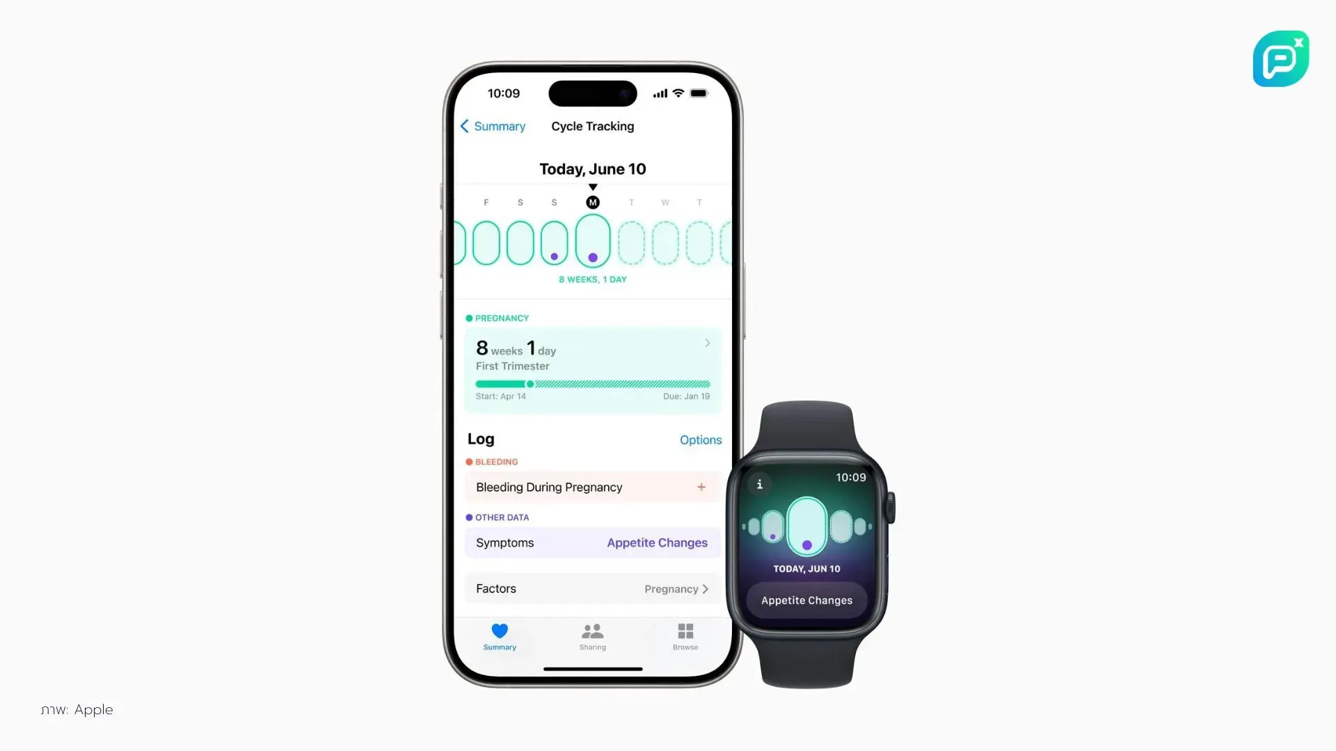 แอพพลิเคชั่น Cycle Tracking บน iPhone และ Apple Watch แสดงข้อมูลการตั้งครรภ์ 8 สัปดาห์และการเปลี่ยนแปลงของอาการในแต่ละวัน