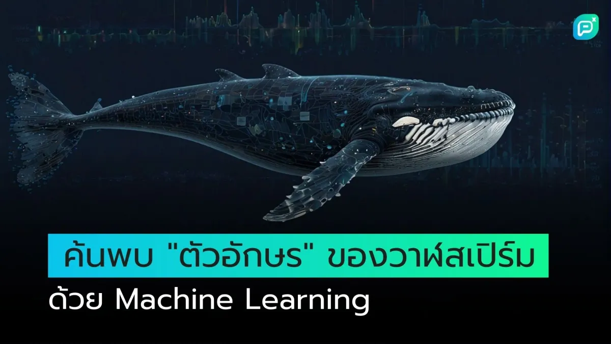 ค้นพบ "ตัวอักษร" ของวาฬสเปิร์ม ด้วย Machine Learning